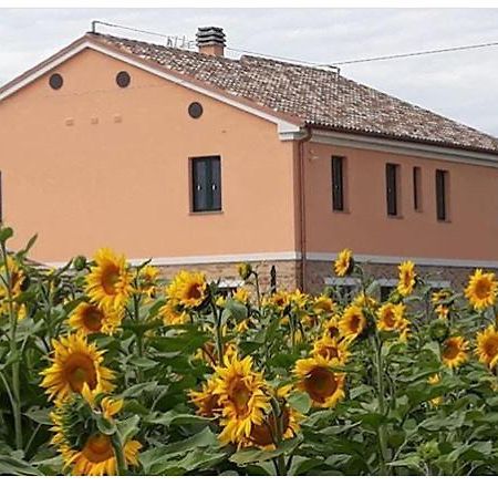La Dolce Vita Porto Recanati Bagian luar foto