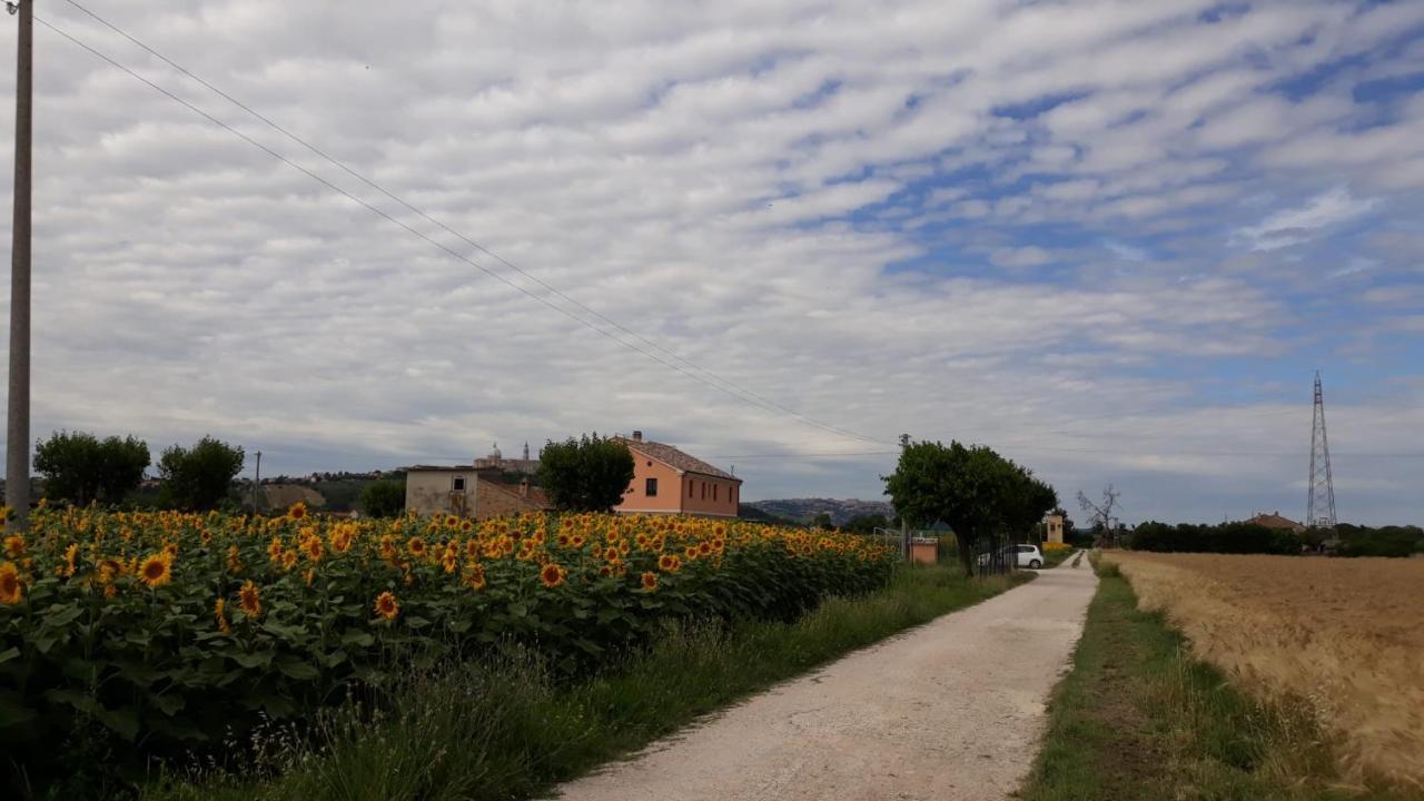 La Dolce Vita Porto Recanati Bagian luar foto