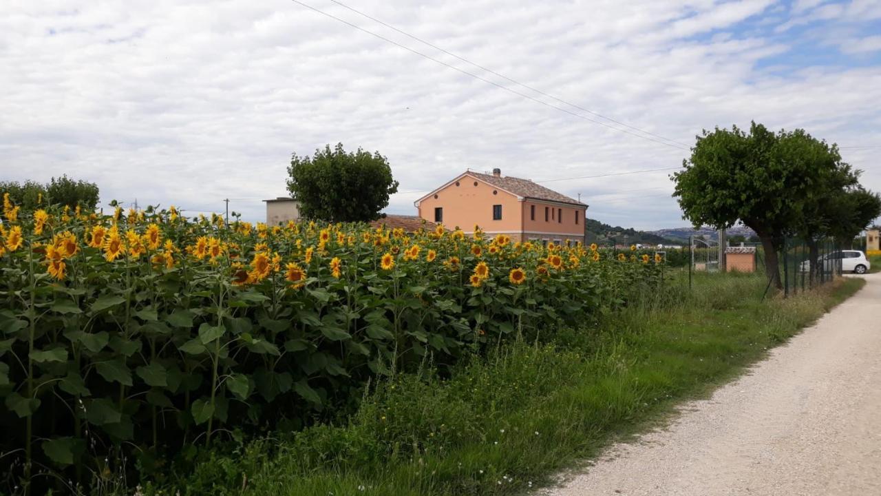 La Dolce Vita Porto Recanati Bagian luar foto