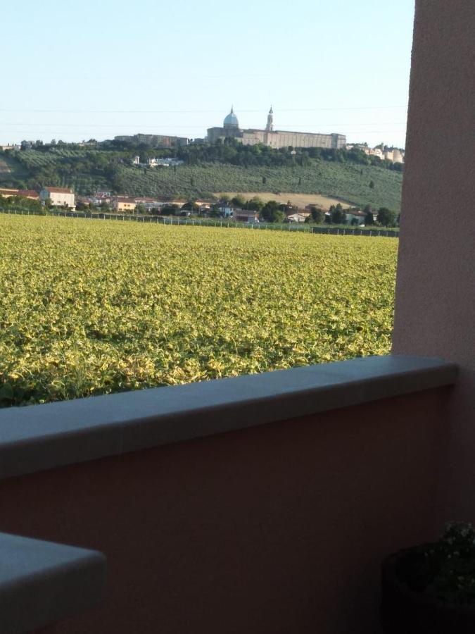 La Dolce Vita Porto Recanati Bagian luar foto