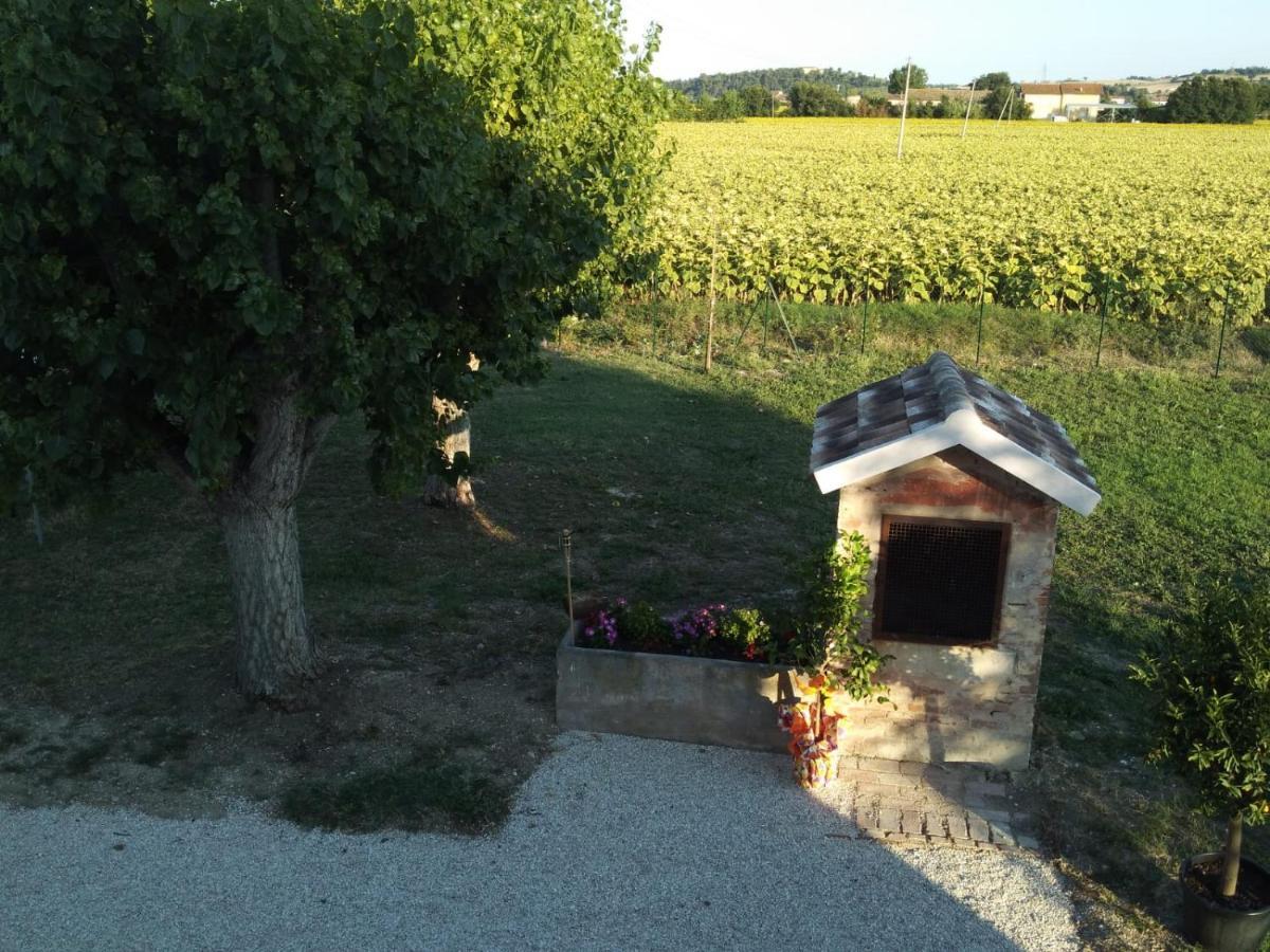 La Dolce Vita Porto Recanati Bagian luar foto