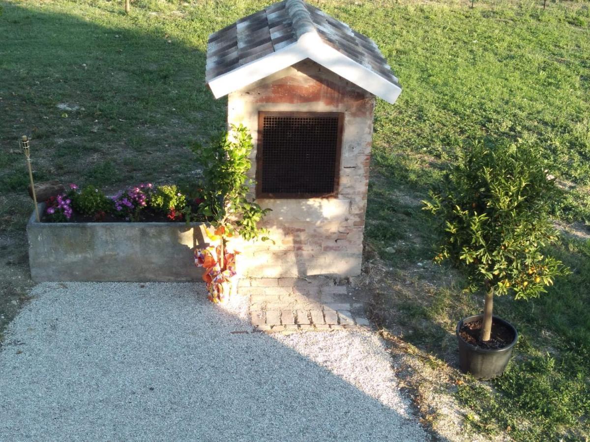 La Dolce Vita Porto Recanati Bagian luar foto