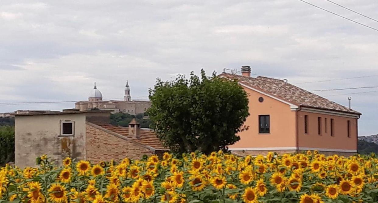 La Dolce Vita Porto Recanati Bagian luar foto
